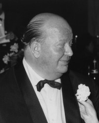 Peter Schaeffers