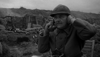 John Stein