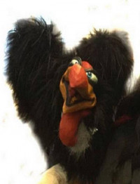 Boris Buzzard