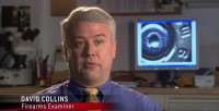 David Collins