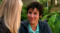 Terrylene