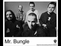 Mr. Bungle