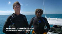 Robert Carmichael
