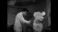 Mario Marela